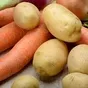 картофель оптом продовольственный в Казани и Республике Татарстан
