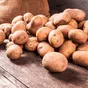 картофель оптом от производителя в Казани 8