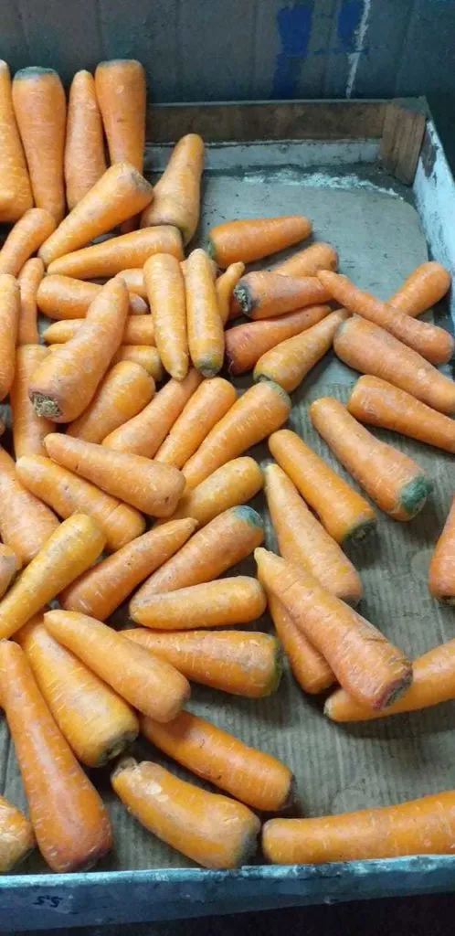 морковь мытая  в Казани