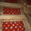 томаты Азербайджанские в Казани
