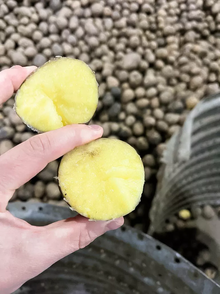 картофель оптом от производителя в Казани 13